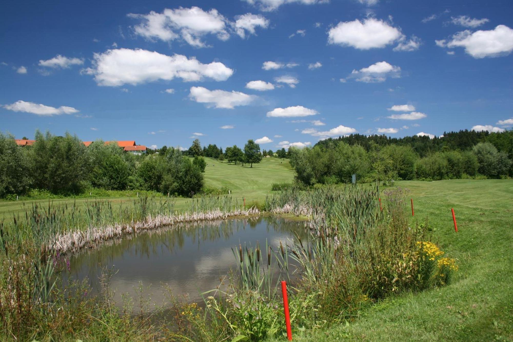 Anetseder Landhotel & Lofts Thyrnau Buitenkant foto